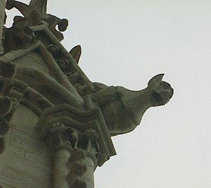 Gargoyle, Notre Dame